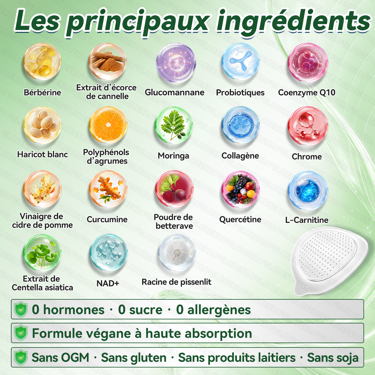 Boutique officielle 🎃 𝐆𝐋𝐎𝐑𝐄𝐍𝐃® Moringa · Berbérine + NAD+ – Patch Microneedle Nano Avancé 10-en-1 (1×/jour, résultats visibles en 7 jours) | Obésité, relâchement cutané, apnée du sommeil, articulations, etc.