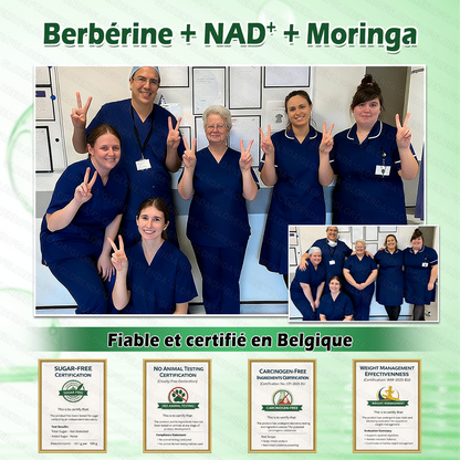 Boutique officielle 🎃 𝐆𝐋𝐎𝐑𝐄𝐍𝐃® Moringa · Berbérine + NAD+ – Patch Microneedle Nano Avancé 10-en-1 (1×/jour, résultats visibles en 7 jours) | Obésité, relâchement cutané, apnée du sommeil, articulations, etc.