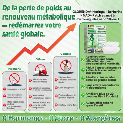 Boutique officielle 🎃 𝐆𝐋𝐎𝐑𝐄𝐍𝐃® Moringa · Berbérine + NAD+ – Patch Microneedle Nano Avancé 10-en-1 (1×/jour, résultats visibles en 7 jours) | Obésité, relâchement cutané, apnée du sommeil, articulations, etc.